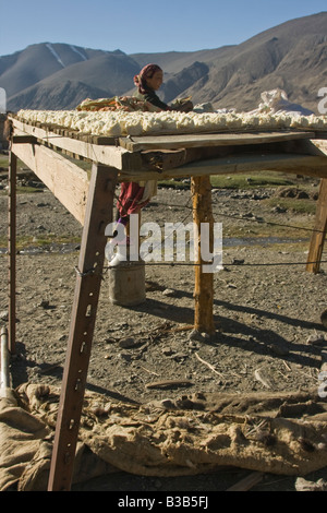 Yogurt palline di formaggio di essiccazione al sole nel villaggio Jalang nel Pamirs in Tagikistan Foto Stock