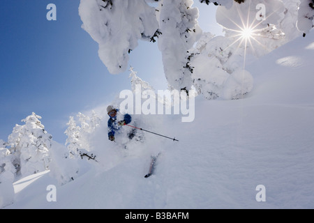 Il Telemark, furano, Hokkaido, Giappone Foto Stock