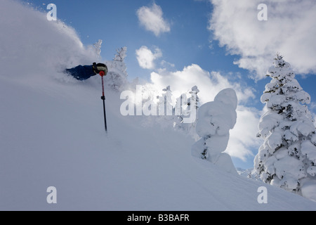 Il Telemark, furano, Hokkaido, Giappone Foto Stock