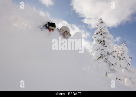 Il Telemark, furano, Hokkaido, Giappone Foto Stock