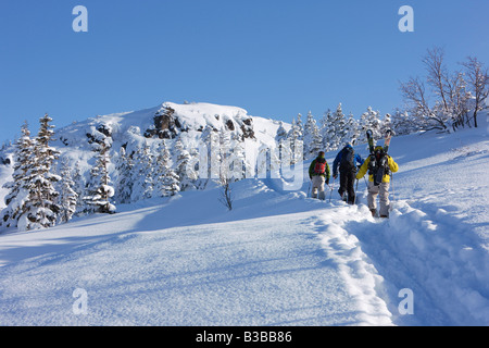 Backcountry sciatori collina ascendente, furano, Hokkaido, Giappone Foto Stock