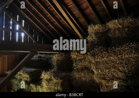 Hay loft nel fienile Foto Stock