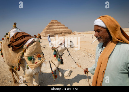 Arabian cameleer e il suo cammello vicino la piramide di Mit-Rahina, Egitto. Foto Stock