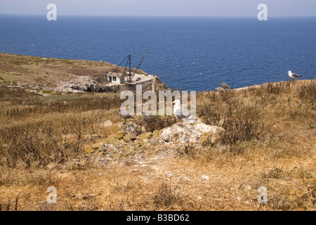 Sbarco Cove Anacapa Est Foto Stock