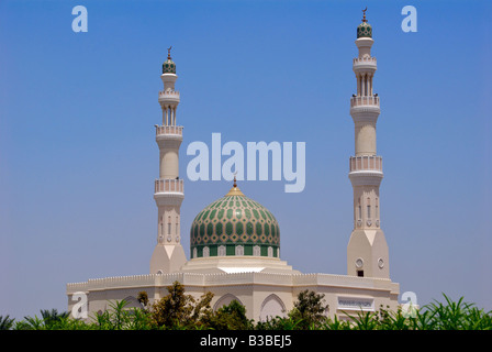 Rustaq e Moschea Al Batinah Regione Sultanato di Oman Foto Stock