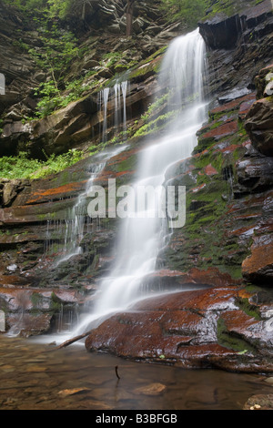 Ganoga Falls cascate più alte del Ricketts Glen State Park Pennsylvania Foto Stock