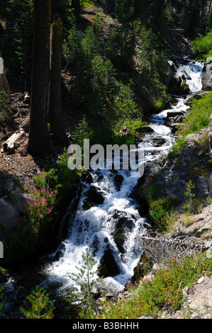 Cascate di montagna. Parco nazionale vulcanico di Lassen, California, Stati Uniti d'America. Foto Stock