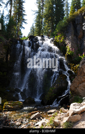 Kings Creek caduta. Parco nazionale vulcanico di Lassen, California, Stati Uniti d'America. Foto Stock