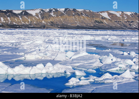 Pack di ghiaccio in Hinlopen Strait, Svalbard, Spitsbergen, Norvegia, Arctic Foto Stock