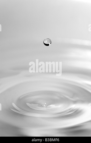 Goccia di acqua rendendo gli anelli di caduta di gocciolamento splash Foto Stock