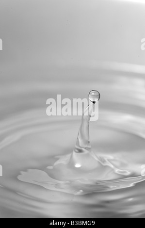 Goccia d'acqua facendo gocciolare anelli splash drop Foto Stock