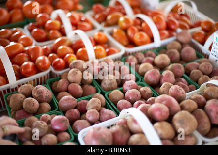 Patate e pomodori a Don Valley opere in mattoni Mercato Agricolo, Toronto, Ontario, Canada Foto Stock