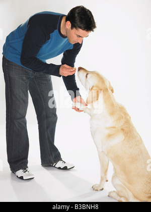 Uomo con Labrador Retriever Foto Stock