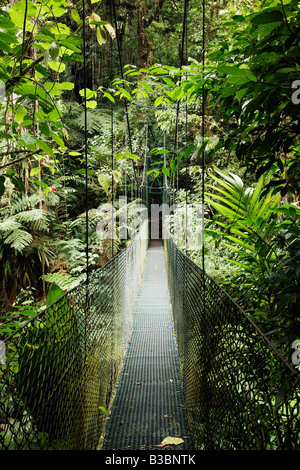 Il Footbridge nella foresta pluviale, La Paz Waterfall Gardens, Cordillera Central, Costa Rica Foto Stock