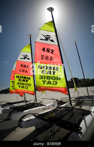 Tipo Hobie Cat catamarani presso l'isola di Groix (Francia). Voiliers catamarani de tipo Hobie Cat sur l'île de Groix. Foto Stock