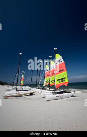 Tipo Hobie Cat catamarani presso l'isola di Groix (Francia). Voiliers catamarani de tipo Hobie Cat sur l'île de Groix. Foto Stock