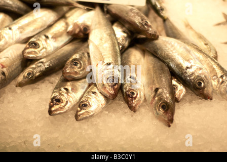 In prossimità di pesce giacente su ghiaccio in un mercato Foto Stock