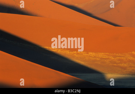 Le dune di sabbia in ultima luce Sossusvlei Namib Naukluft National Park Namibia Africa Foto Stock