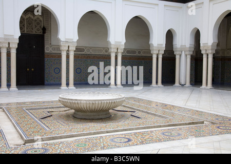 La grande moschea di Parigi, La Grande Mosquée de Paris Francia Foto Stock