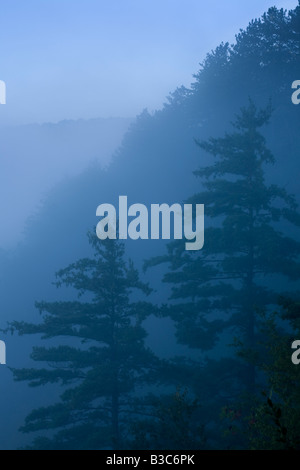 Nebbia sollevamento sul Pine Creek Gorge Grand Canyon della Pennsylvania Foto Stock