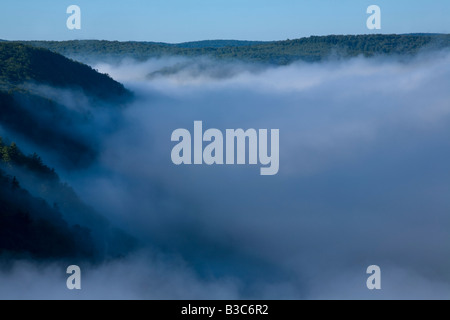 Nebbia sollevamento sul Pine Creek Gorge Grand Canyon della Pennsylvania Foto Stock