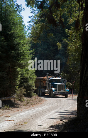 Fort Bragg California Logging di redwoods nella California del nord e un carrello cale i registri in una segheria Foto Stock