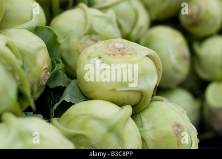 Il cavolo rapa organico per la vendita in un mercato degli agricoltori Foto Stock