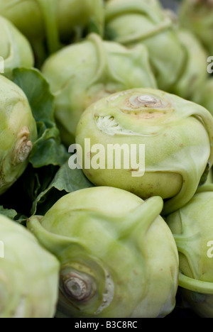 Il cavolo rapa organico per la vendita in un mercato degli agricoltori Foto Stock