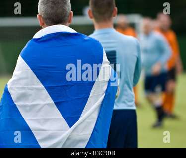 Scottish Football fan drappeggiati in si intraversa bandiera. Foto Stock