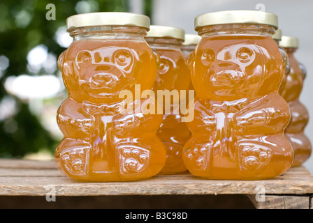 Vasi di tutto il miele naturale per la vendita in un mercato degli agricoltori Foto Stock
