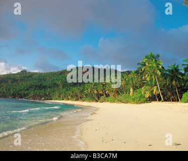Palm trees at beach in Mahé, Seychelles Foto Stock