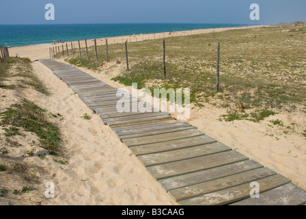 Il Boardwalk e scherma per prevenire fenomeni di erosione da parte di persone della costiera duna di sabbia habitat. Foto Stock