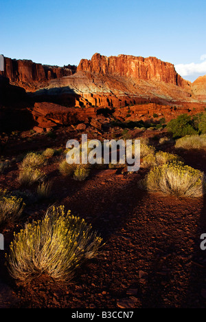 Vista dalla statale Goosenecks si affacciano al tramonto del Capital Reef National Park nello Utah Foto Stock