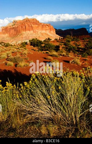 Vista dalla statale Goosenecks si affacciano al tramonto del Capital Reef National Park nello Utah Foto Stock