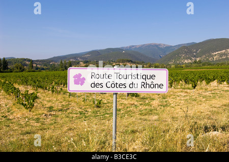 Europa Francia Provenza vigneti vicino a Vaison la Romaine Foto Stock