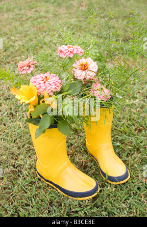 Giallo galoshes riempito di fiori. Spazio di didascalia in alto. Foto Stock