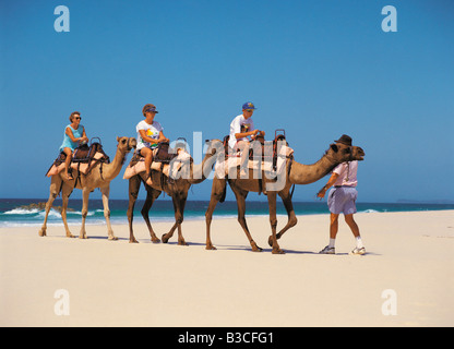 I turisti godendo di corsa in cammello sulla spiaggia di Port Macquarie, Nuovo Galles del Sud. Australia. Foto Stock