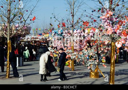Cina, Pechino. Anno Nuovo Cinese Festival di Primavera - Valentine amore messaggi su un albero a Parco Chaoyang fiera. Foto Stock