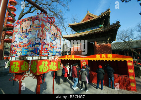 Cina, Pechino. Anno Nuovo Cinese Festival di Primavera - visitatori al tempio Donyue e Pechino Folk Arts Museum. Foto Stock