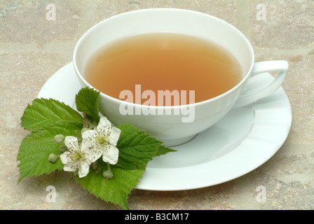 Herbtea fatto di foglie e fiori di billberry o mirtillo Vaccinium myrtillus corymbosum Mirtillo fogiia Foto Stock