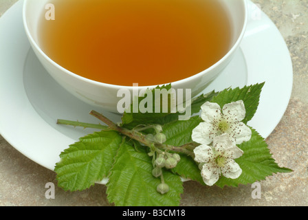 Herbtea fatto di foglie e fiori di billberry o mirtillo Vaccinium myrtillus corymbosum Mirtillo fogiia Foto Stock