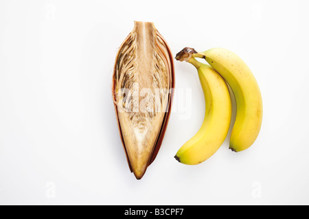 Banana Flower e banane Foto Stock