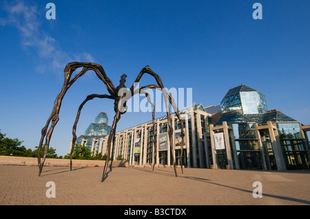 La scultura di un ragno di fronte alla Galleria Nazionale di Ottawa in Canada Ontario Canada Foto Stock