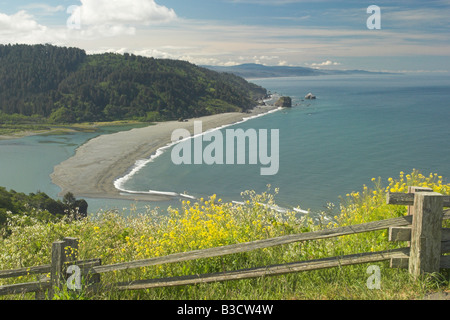 Klamath fiume incontra l'Oceano Pacifico Foto Stock