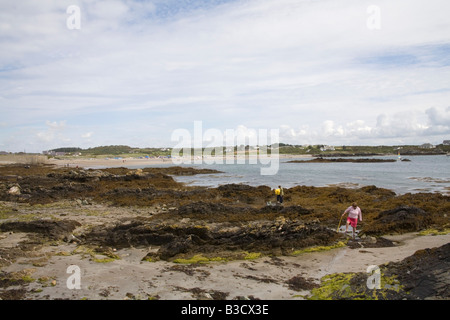 Rhosneigr Isola di Anglesey North Wales UK Agosto vacanzieri controllare le piscine di roccia a bassa marea Foto Stock