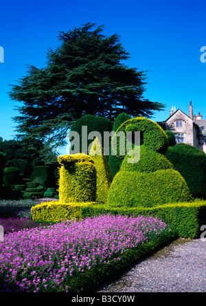 Topiaria da il giardino e la casa a Levens Hall Cumbria Foto Stock