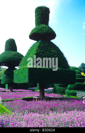 La Topiaria da giardino a Levens Hall Cumbria Foto Stock