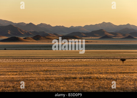 Africa, Namibia, Sunrise, Tiras montagne e il deserto del Namib Foto Stock