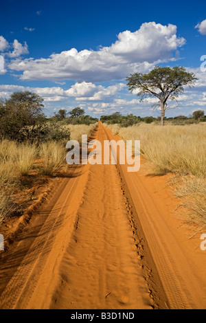 Africa, Botswana,via attraverso il deserto Kalahari Foto Stock