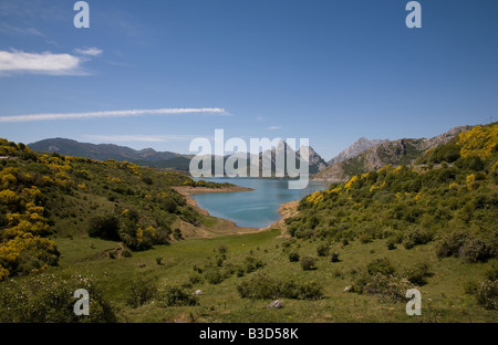 Vista generale del Embalse de Riano serbatoio nel Parco Nazionale Picos de Europa nel nord della Spagna Foto Stock